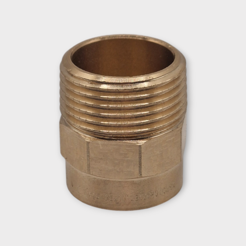 1019